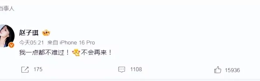 赵子琪:曾碾压李湘、“岩女郎”出身,为何高开低走