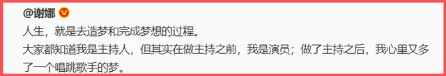 谢娜要开演唱会,票价直逼一线歌手,网友:有代表作吗?