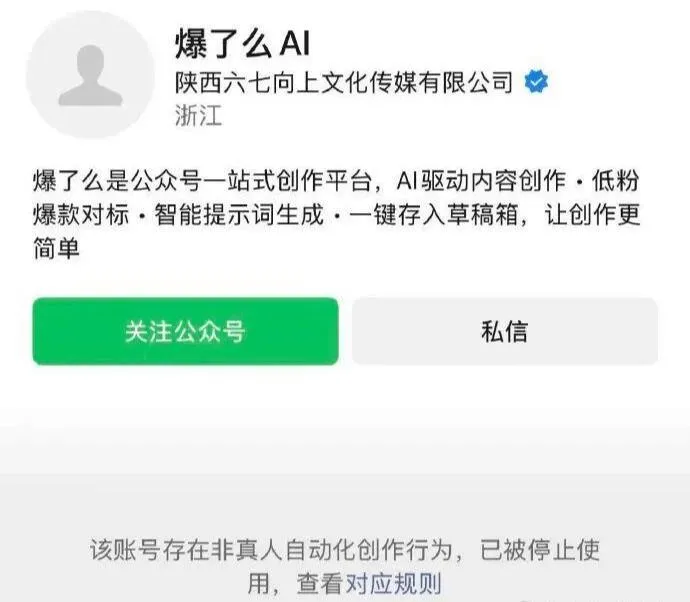 那个靠AI年赚200万的90后夫妻，彻底被扒干净了