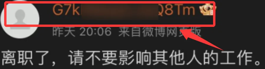 杨某媛辞职了