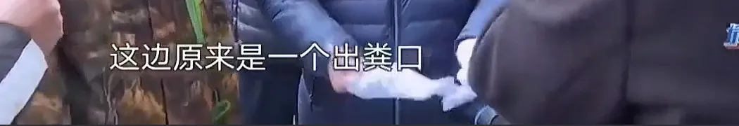 上海“毒丈夫”杀妻案 引全网震怒 上海“毒丈夫”杀妻案 引全网震怒