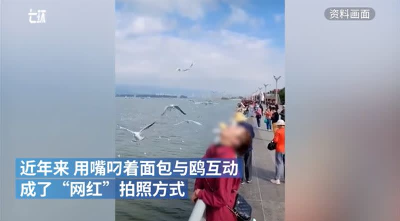 暴发汉坦病毒的那艘邮轮上，装满了观鸟爱好者