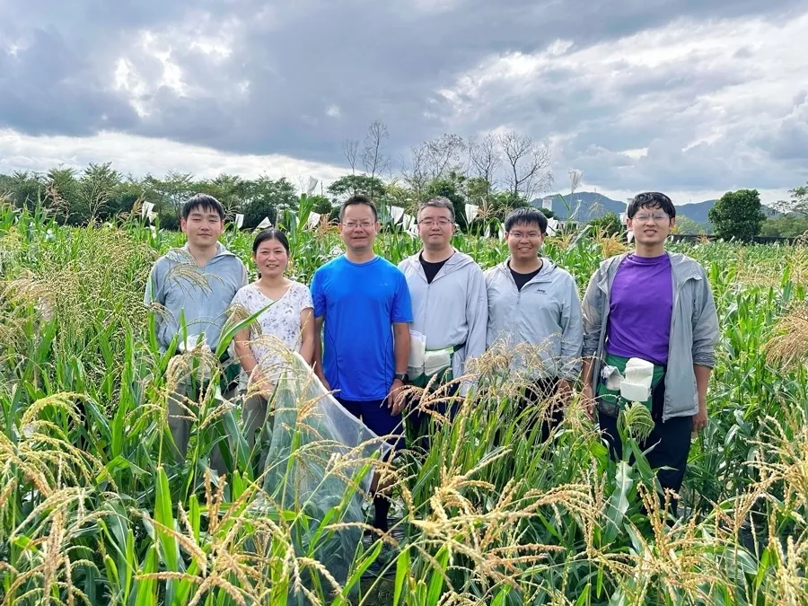 喂猪有望不用进口大豆？中国科学家找到关键基因