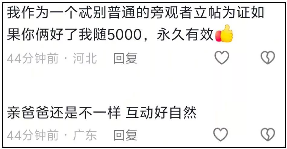 文章配图-9