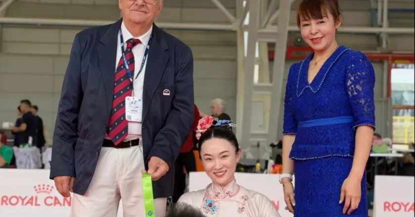 霍思燕爱犬又夺冠，胖到140斤穿旗袍好圆润
