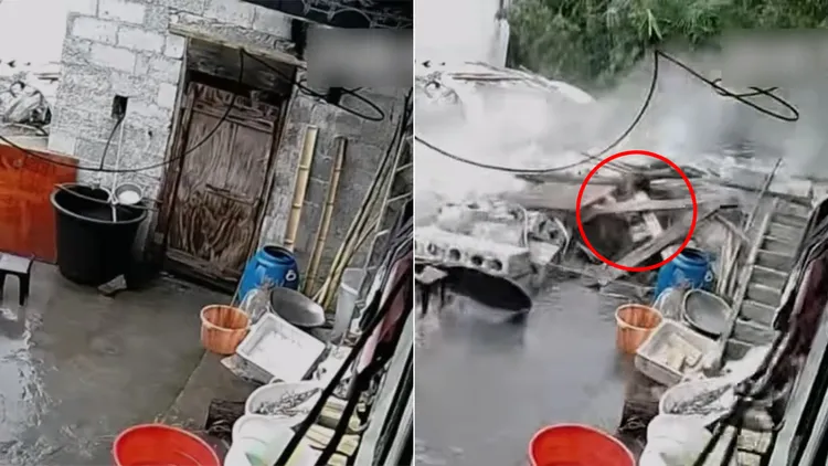 婦人才剛進廁所要如廁,整間廁所就垮了。翻攝自《百姓關注》