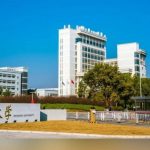 上海大学决定解聘博士后   院长也被免职