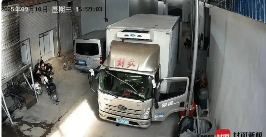 千里“偏航”,精准“猎杀”:谁在把公权力变成“生意”?