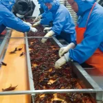 在中国，小龙虾壳能变内衣、袜子和保健品！
