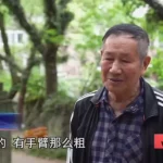 毛骨悚然！男子小区里养300多条蟒蛇