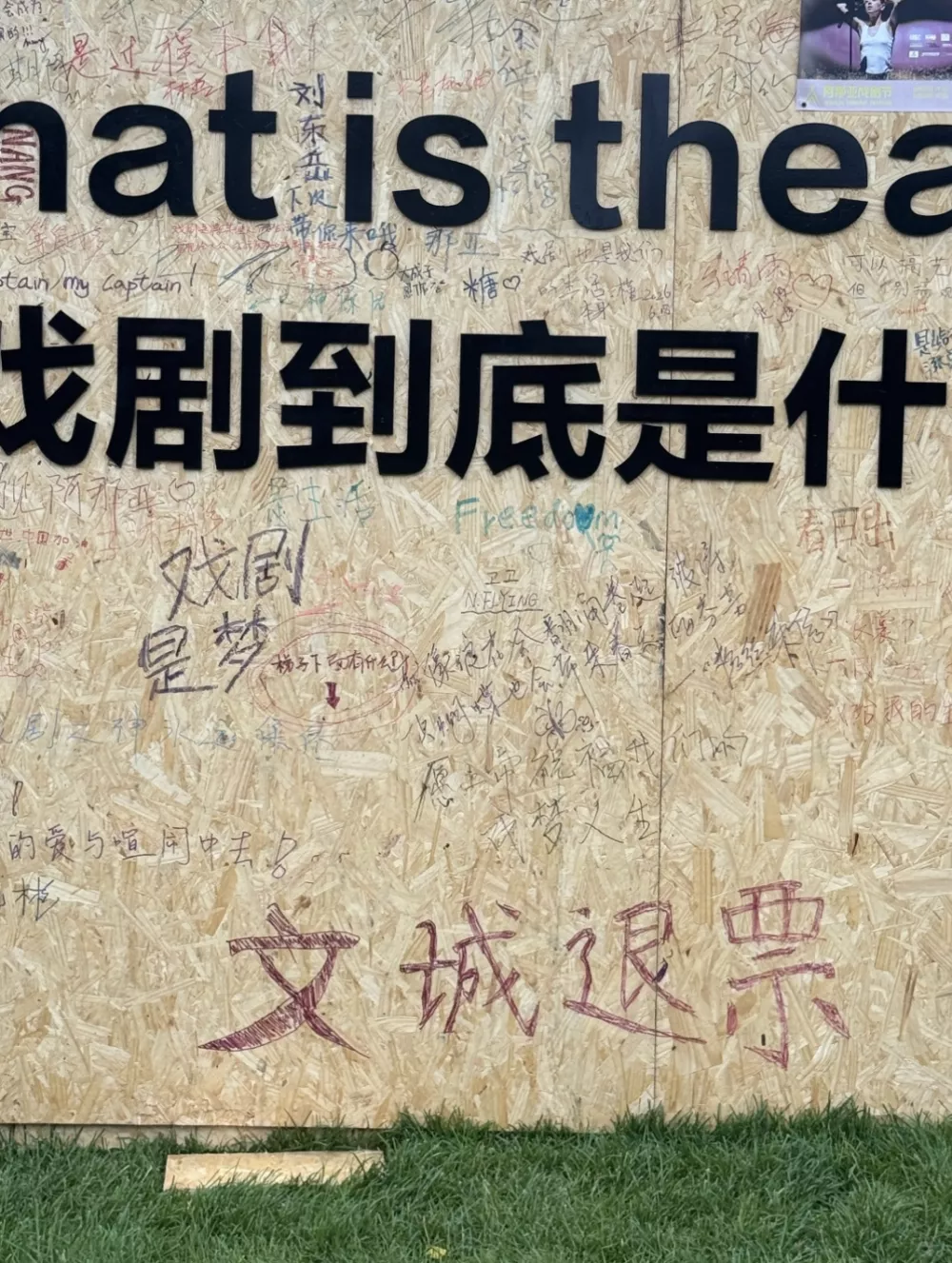 周冬雨,三金保不了你一辈子