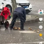 患癌卖洋芋大叔将伞借给陌生母女，自己淋雨推车