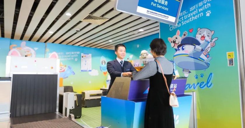 越来越多航司开放“宠物进客舱” 催生千亿消费生态