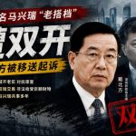 又一名马兴瑞“老搭档”遭双开