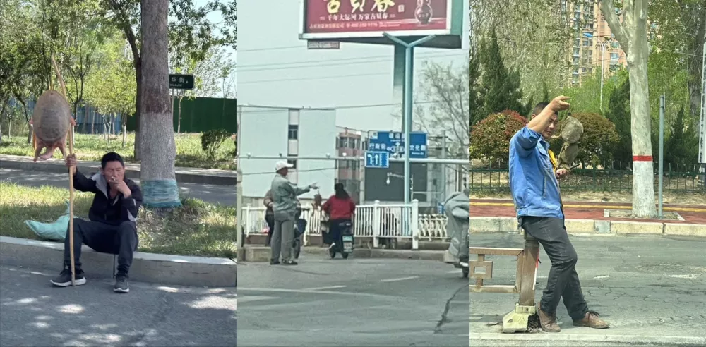 老大爷水库钓到19.8斤大老鳖,以为很值钱...