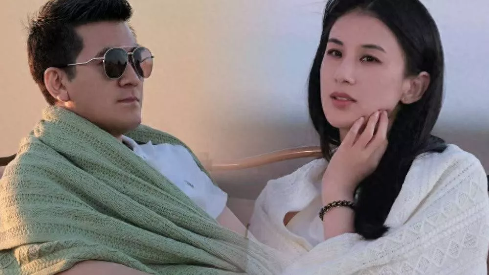 套现28亿冰山一角!杨子家族"坏消息",怪不得黄圣依要离婚