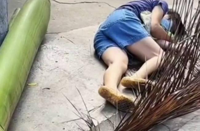 珠海女散步遭椰叶砸至十级伤残 法院判赔4万余元