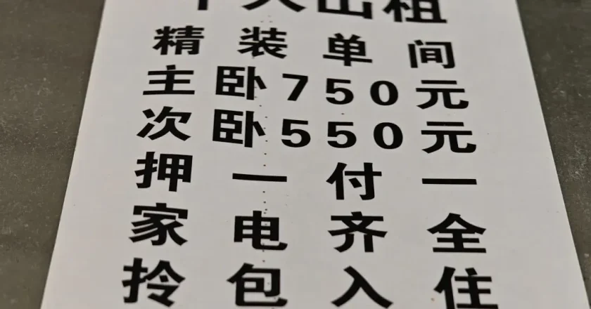 租房鄙视链的底端，挤满高龄、孕期、养宠人