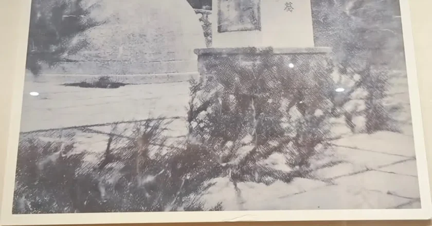 博物馆展出照片被指系AI生成 文旅部门:已撤下
