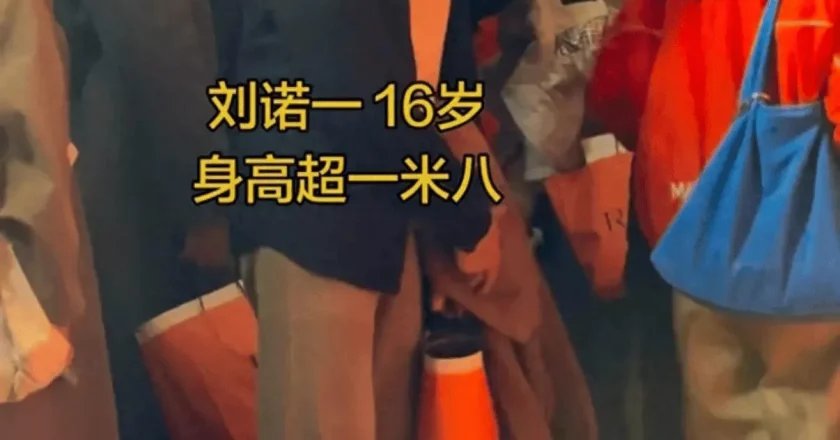 刘烨儿子久违现身，过了容貌尴尬期变更帅了