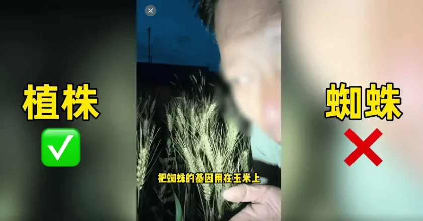 200万粉丝网红诋毁袁隆平成果:“变态杂交”