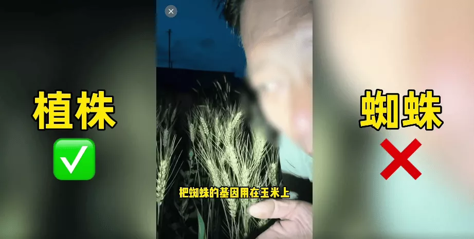 200万粉丝网红诋毁袁隆平成果：“变态杂交”