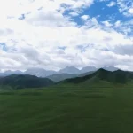 考进“最吃香专业”的大学生：当兵，保研，或者进了法院