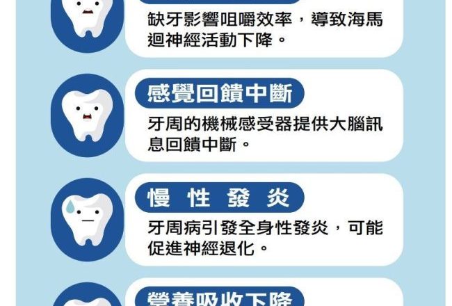 广泛缺牙为何会增加失智风险？牙齿正常咬合 是守护大脑的关键