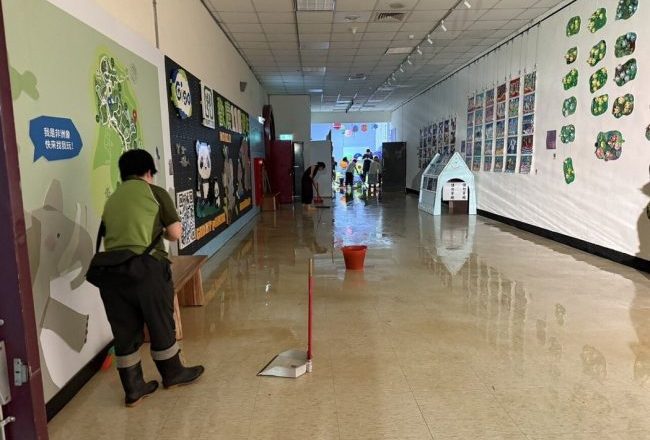 豪雨酿灾！北市动物园爬虫馆天花板塌陷、地下室积水 6月暂停开放整修