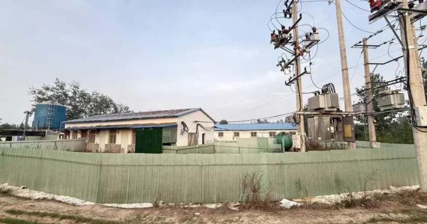 河南固始一养猪场发生事故致三人死亡,镇政府回应