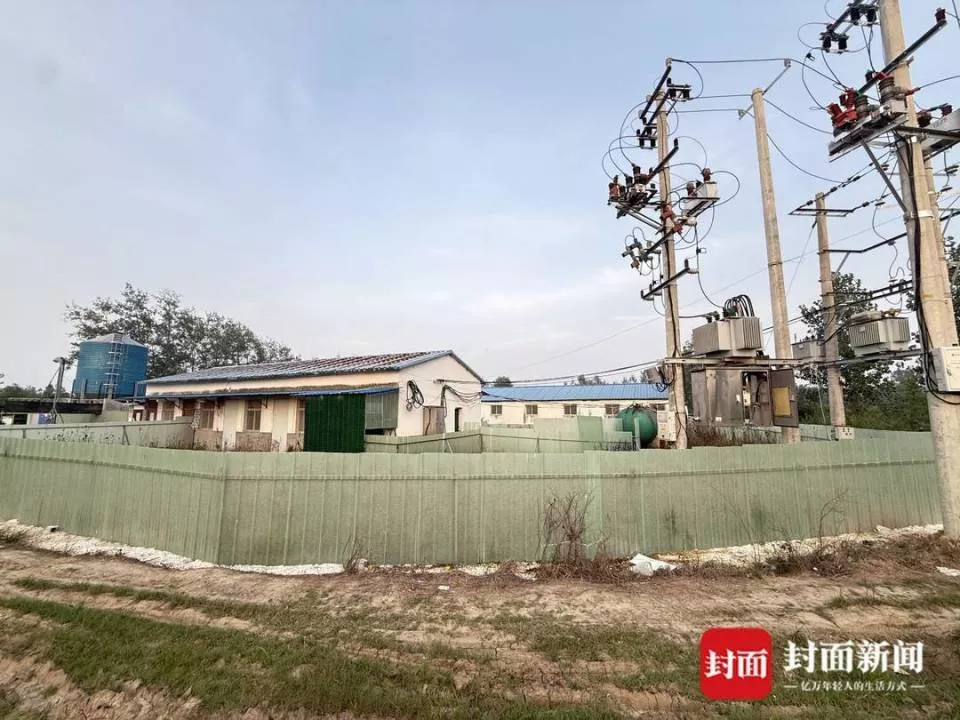 河南固始一养猪场发生事故致三人死亡,镇政府回应