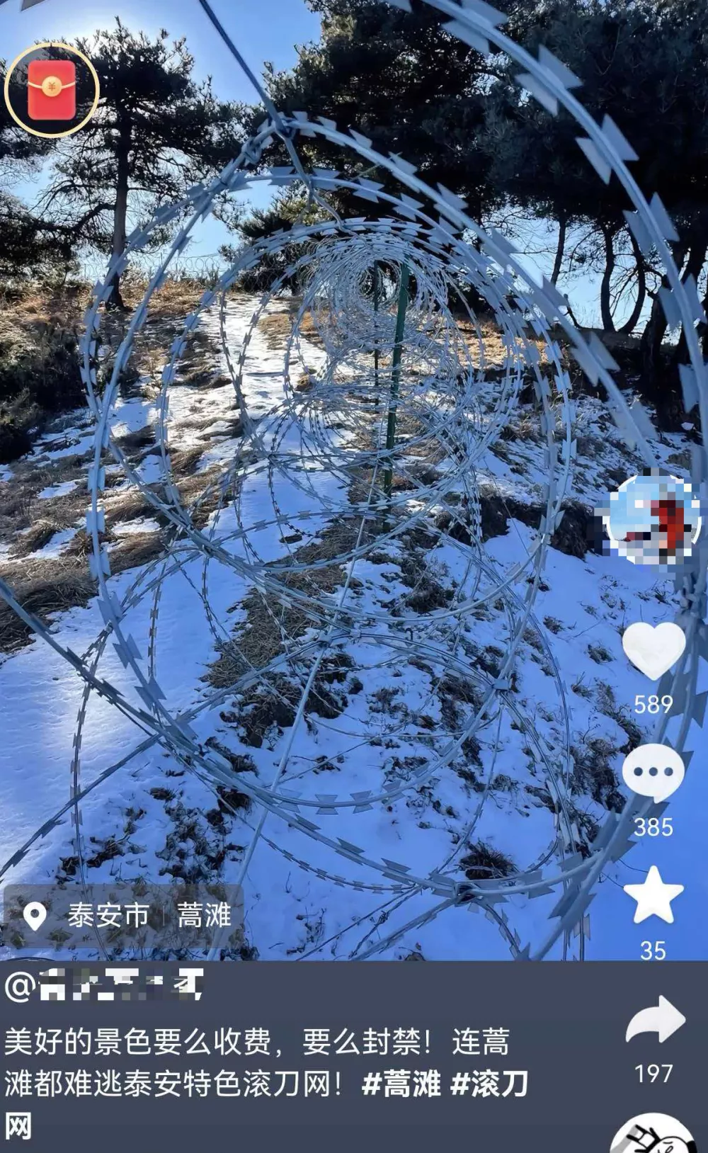 泰山周边建起135公里刀片刺绳隔离网？多部门回复