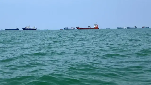 海上有至少十艘大型船只。海面有些波涛起伏,天空湛蓝。
