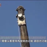 儿子为争房产长期家暴94岁母亲 装摄像头全天监视