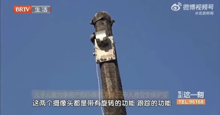 儿子为争房产长期家暴94岁母亲 装摄像头全天监视