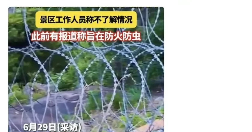泰山建135公里刀片刺绳隔离网，真能防火防虫吗？