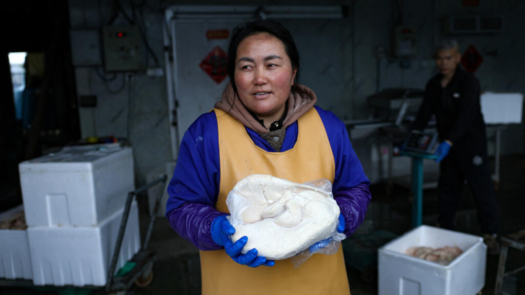 Wu Deli from Changhao Biotechnology company, holding a frozen goose liver weighing 2.9 kg, at their farm in Huoqiu county, Anhui province, China. Wu Deli from Changhao Biotechnology company, holding a frozen goose liver weighing 2.9 kg, at their farm in Huoqiu county, Anhui province, China.