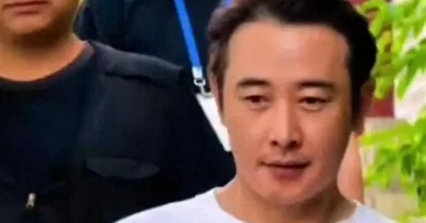 婚变传闻水落石出,罗晋似走上陈晓老路