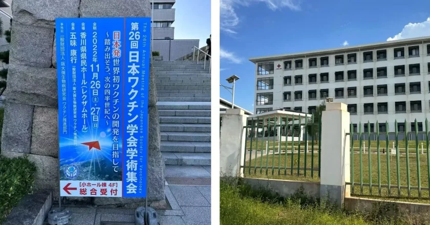 “上岸了”,5位中国年轻人在国外做公务员