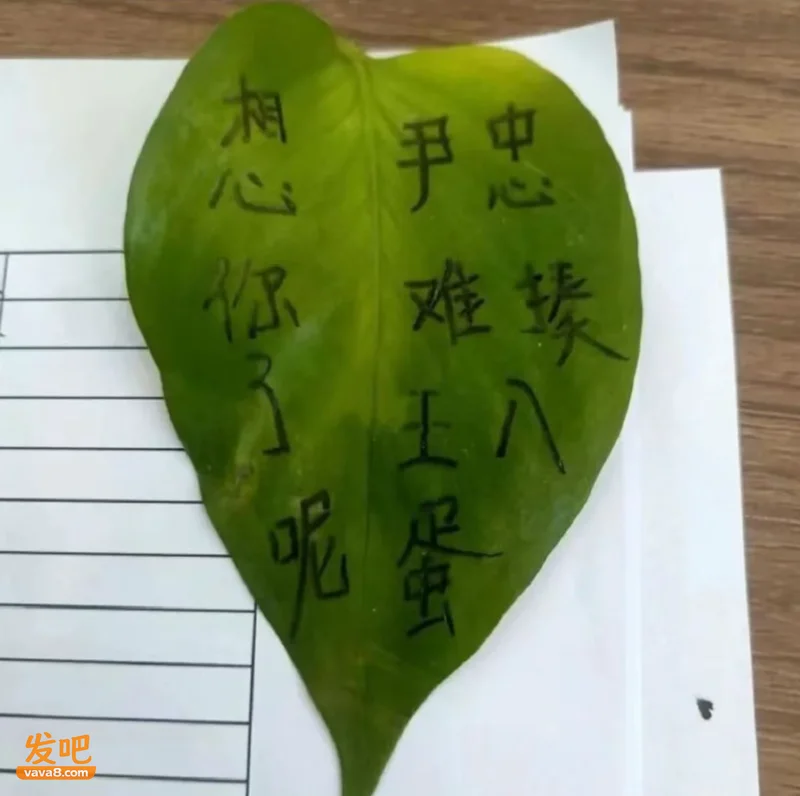 丈夫花70万没救活绝症妻 整理遗物发现惊人秘密