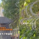 长沙城市街道惊现“刀片护栏”