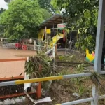 洪水到来前，一个动物园老板选择“锁死猛兽区笼门”