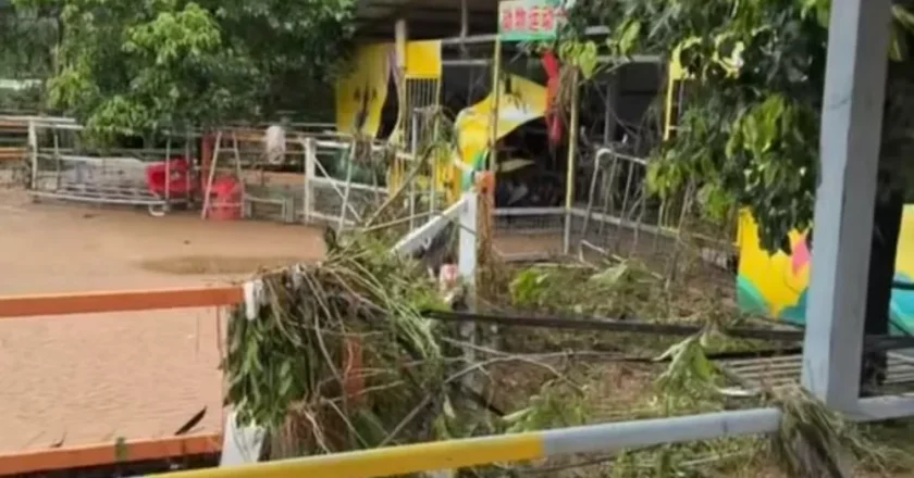 洪水到来前,一个动物园老板选择“锁死猛兽区笼门”