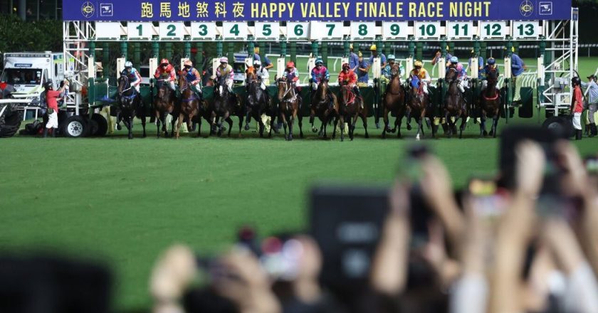 香港马会提五年规划意见书 盼大湾区成为国际马产业枢纽