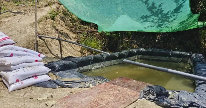 湖南侦破特大非法盗采稀土案,共盗采稀土矿50余吨