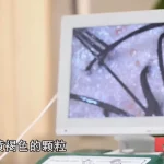 洗个头花2万元！浙江警方破获特大美发诈骗案