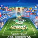 “压哨”买下世界杯版权的央视 依然赚麻了