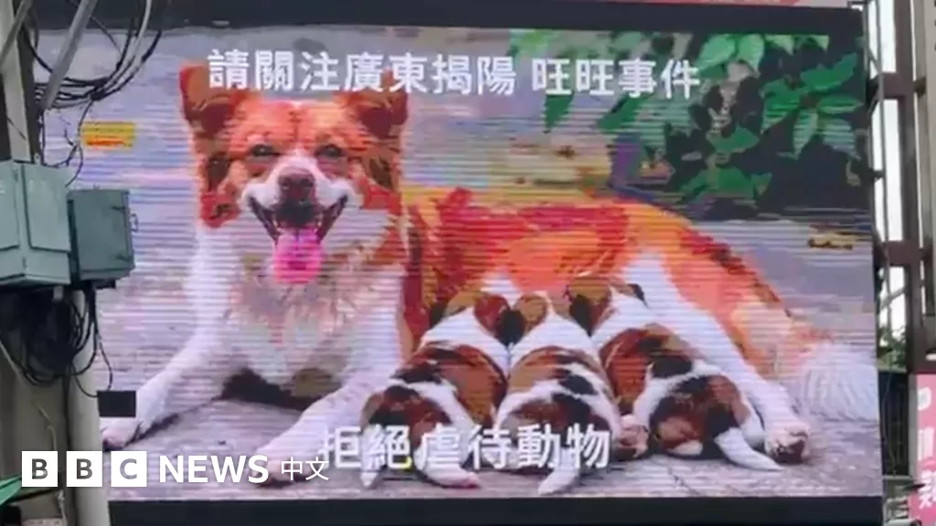 从孙志刚到旺旺:一次不会发生的立法跃进
