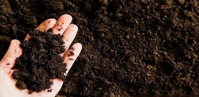 中国第一大粮仓一夜变荒地?耗时60年 为啥抛弃 中国第一大粮仓一夜变荒地?耗时60年 为啥抛弃